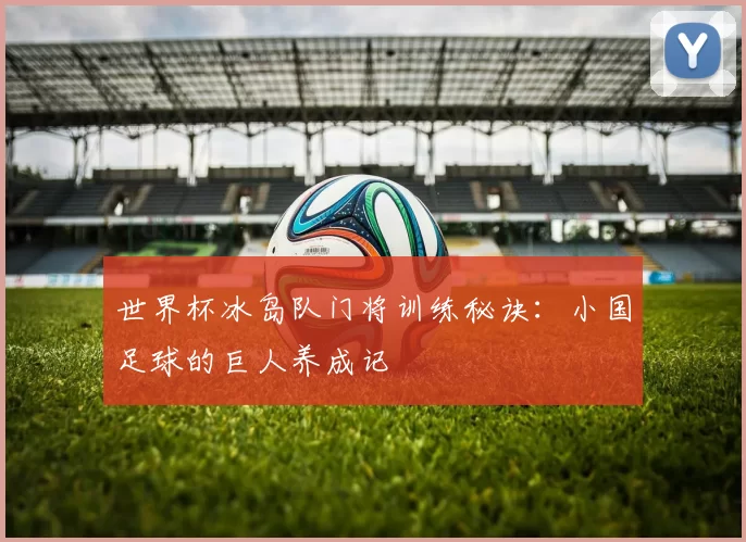 世界杯冰岛队门将训练秘诀：小国足球的巨人养成记
