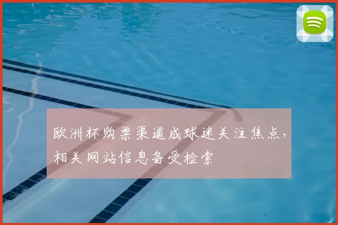 欧洲杯购票渠道成球迷关注焦点，相关网站信息备受检索