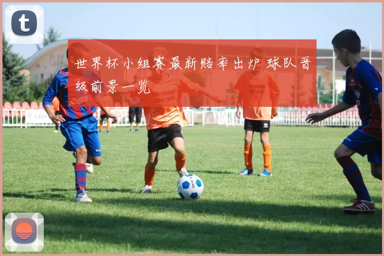 世界杯小组赛最新赔率出炉 球队晋级前景一览