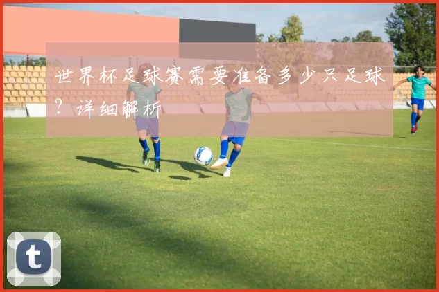 世界杯足球赛需要准备多少只足球？详细解析