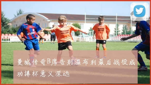 曼城传奇B席告别温布利最后战役成功捧杯意义深远