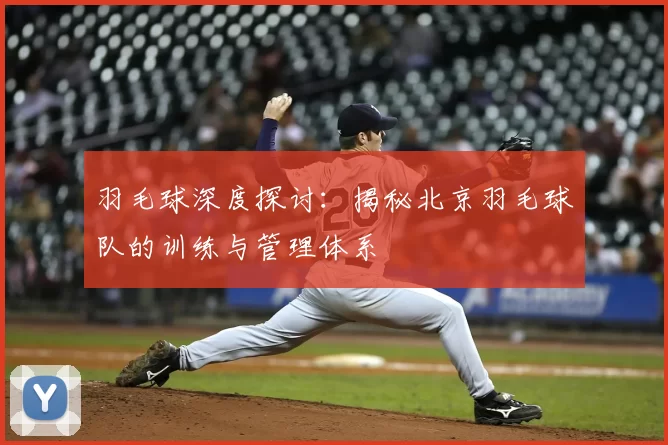 羽毛球深度探讨:揭秘北京羽毛球队的训练与管理体系