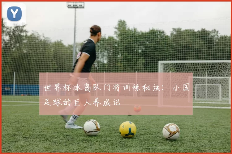 世界杯冰岛队门将训练秘诀：小国足球的巨人养成记