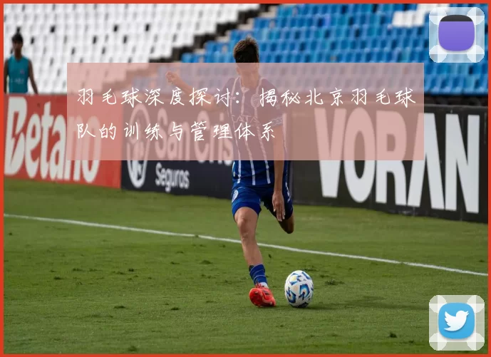 羽毛球深度探讨:揭秘北京羽毛球队的训练与管理体系