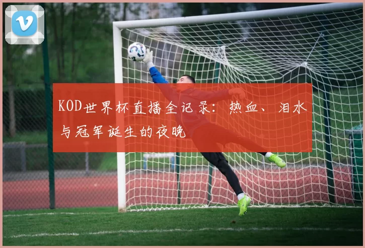 KOD世界杯直播全记录:热血、泪水与冠军诞生的夜晚