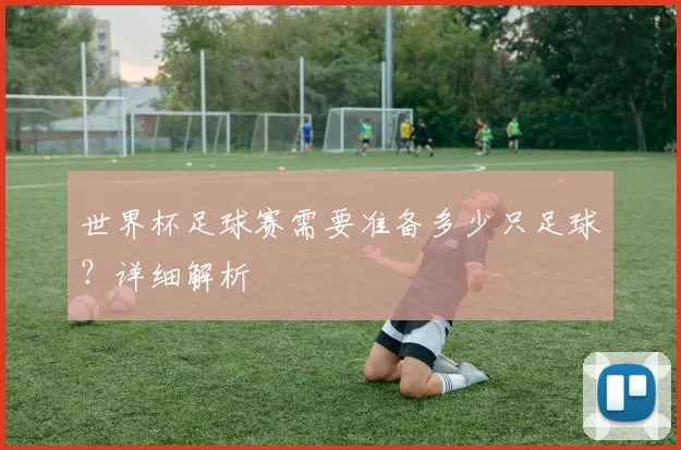 世界杯足球赛需要准备多少只足球？详细解析