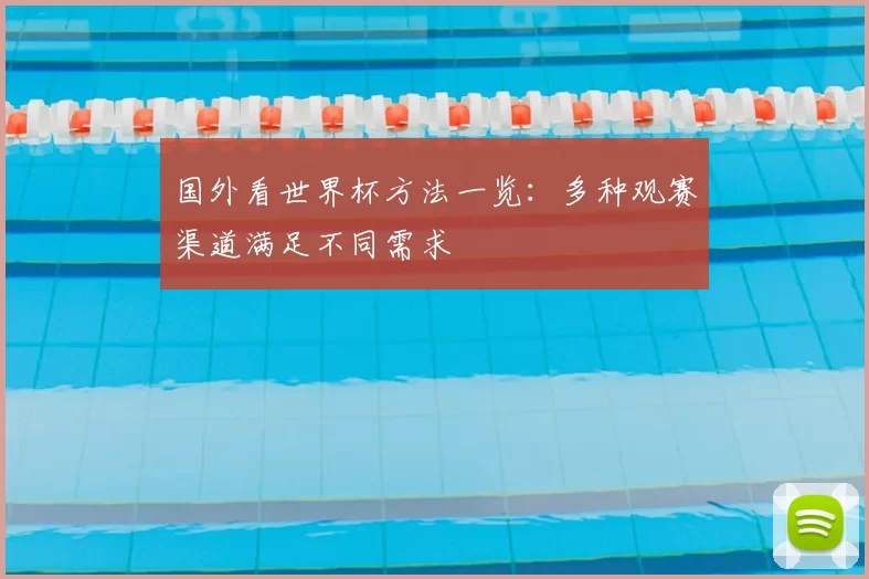 国外看世界杯方法一览:多种观赛渠道满足不同需求