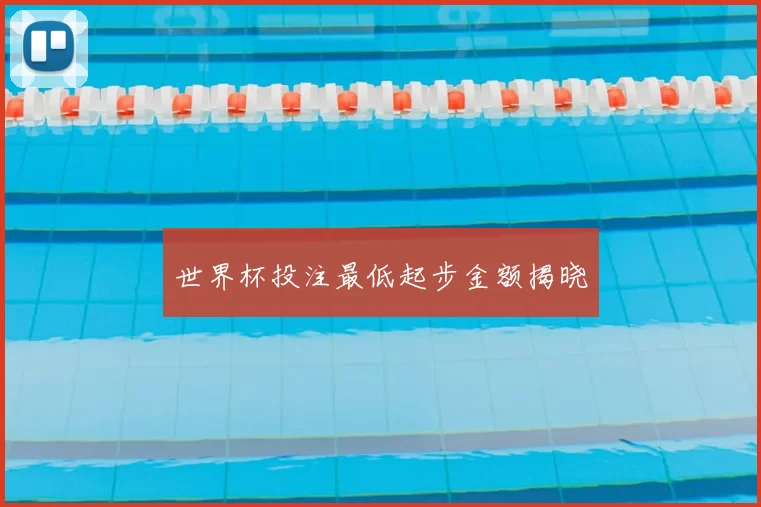 世界杯投注最低起步金额揭晓