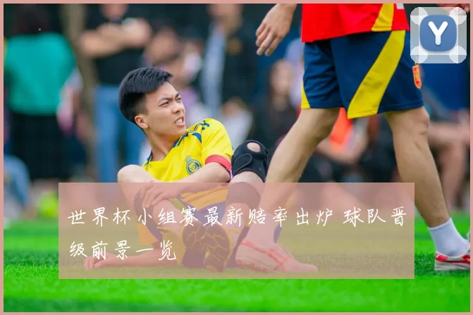世界杯小组赛最新赔率出炉 球队晋级前景一览